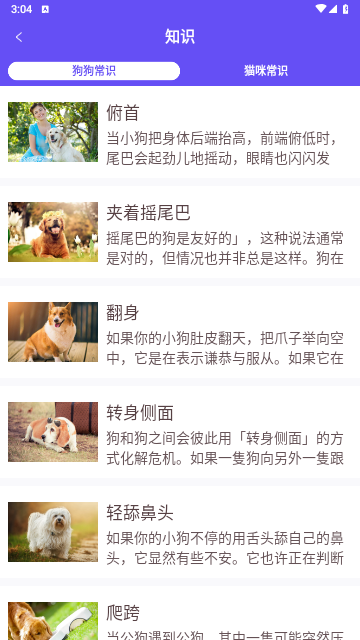 萌宠猫狗交流器app免费版