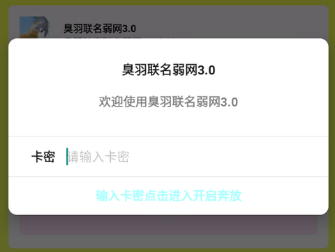 臭羽联名弱网3.0参数手机版