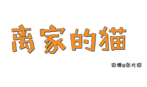 离家的猫最新版