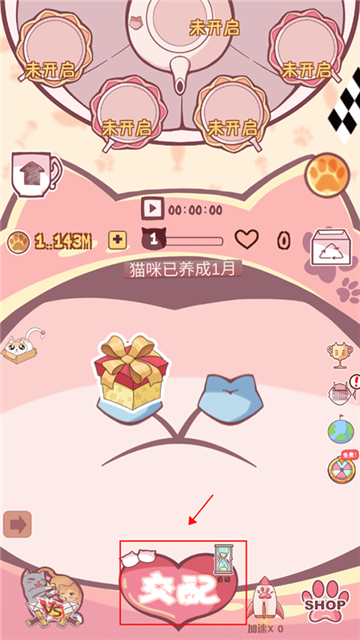 云撸猫咪手机版