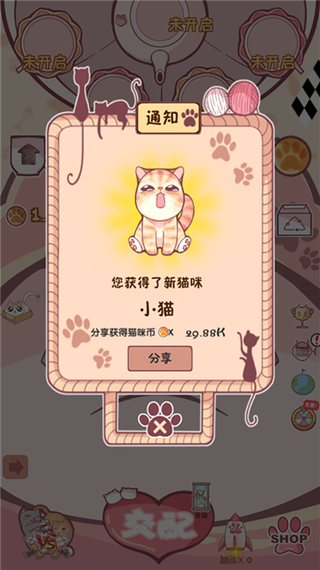 云撸猫咪手机版