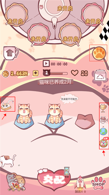 云撸猫咪手机版