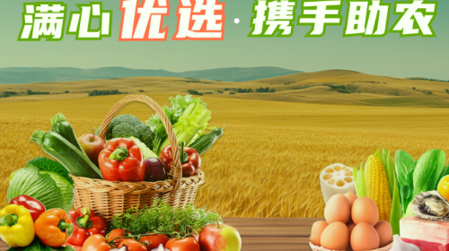 小满宝2025最新版