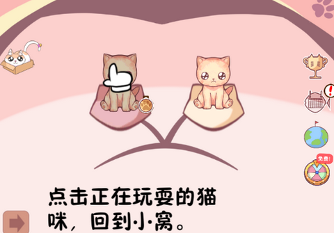 云撸猫咪手机版