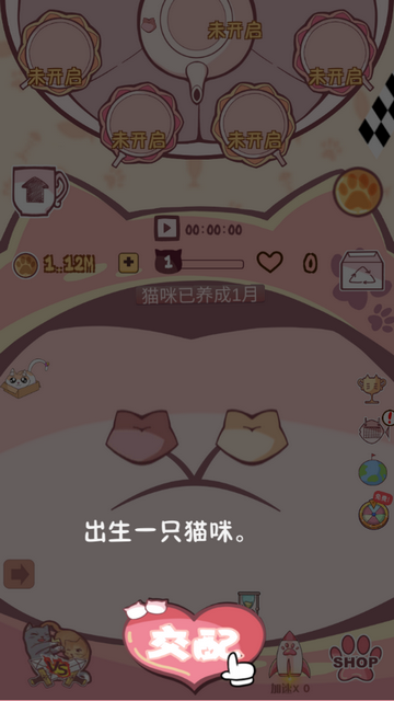 云撸猫咪手机版
