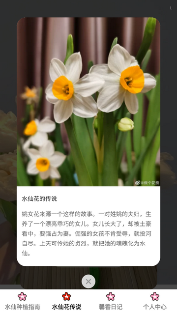馨香时光官方最新版