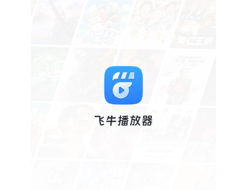 飞牛播放器安卓手机版