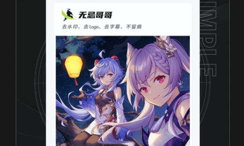 无忌哥哥去水印软件app