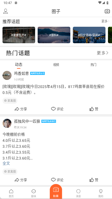鸡病专业网论坛