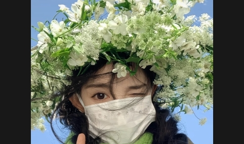 壁纸荟APP无广告免费版