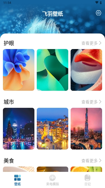 飞羽壁纸