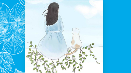 电子相册手机pp版