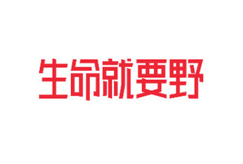 野小兽官方app