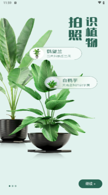 识花君APP