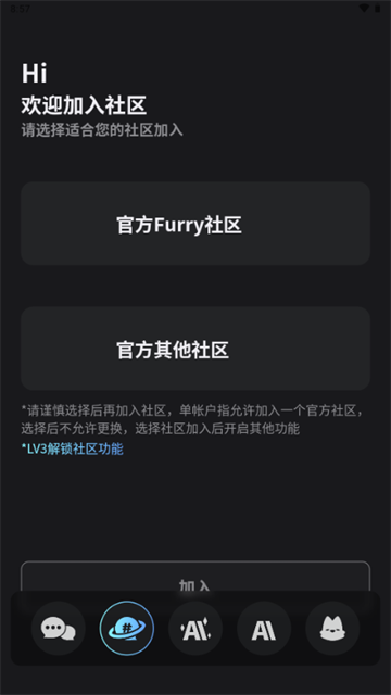 17145313zzru