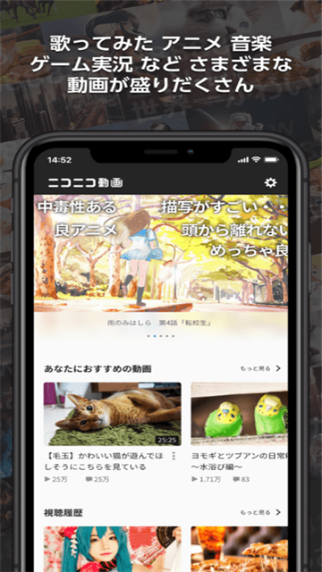 niconico动画中文版