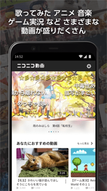 d86b9acc65c8295659a715ff78807908