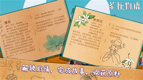 chabeiwuyu (2)