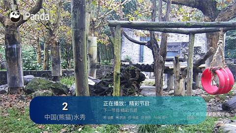 gongfutv (3)
