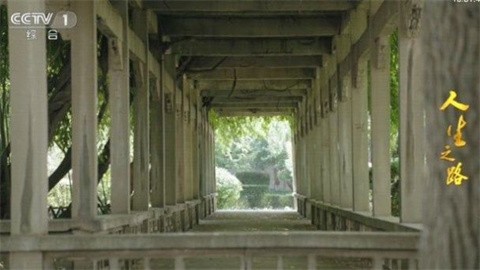 haixingtv (2)