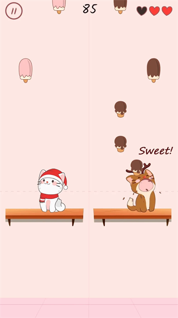 DuetCats (4)