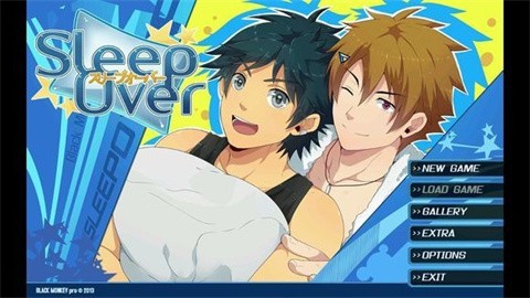 sleepover (2)