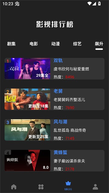大鱼视频 (5)