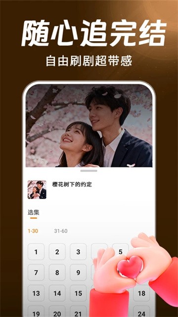 红柿免费短剧 (5)