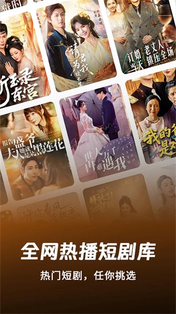 红柿免费短剧 (4)