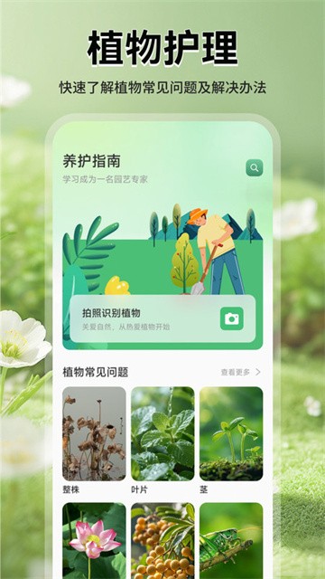 猫满花语 (1)