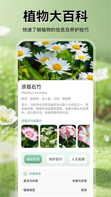 猫满花语 (2)
