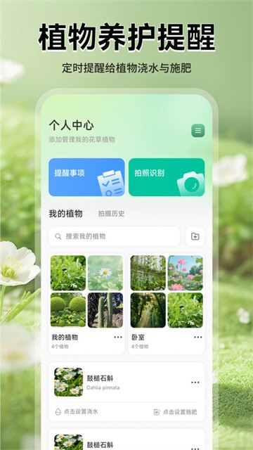 猫满花语 (3)