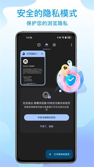 猎鹰浏览器 (4)