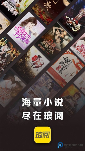 琅阅小说 (5)