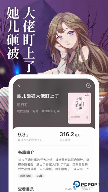 琅阅小说 (3)