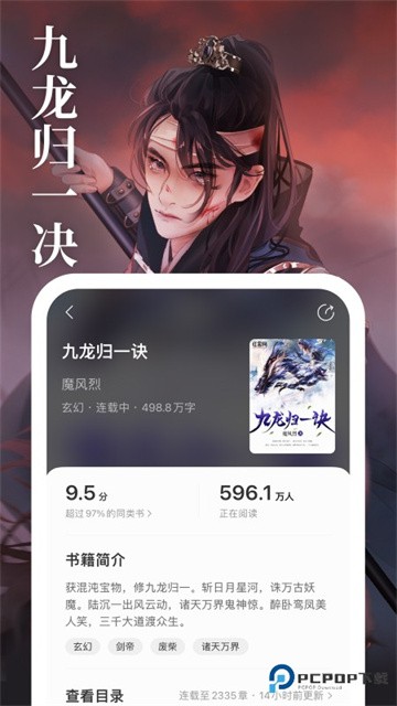 琅阅小说 (4)