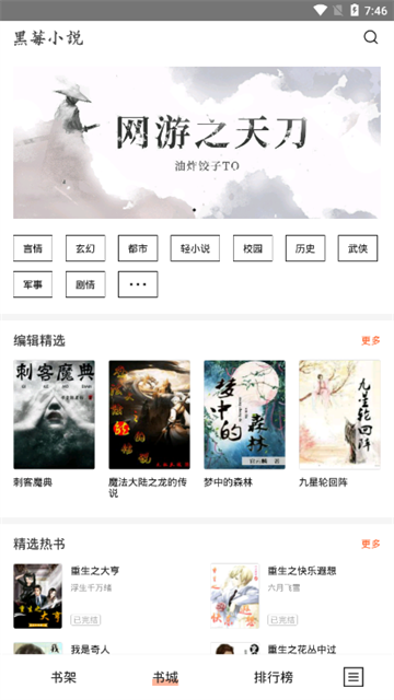 黑莓小说 (3)