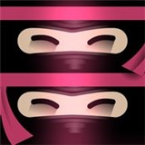 双子忍者中文版