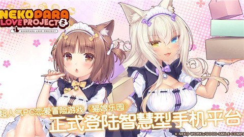 猫娘乐园2 (4)