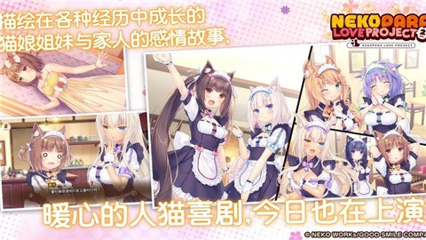 猫娘乐园2 (2)