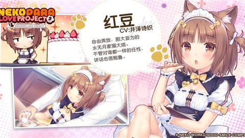 猫娘乐园2 (3)