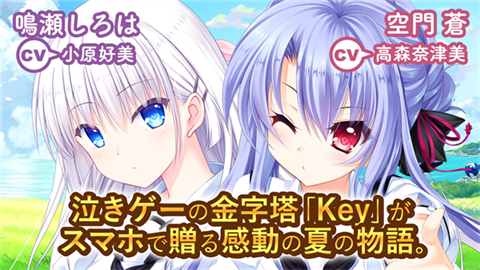 夏日口袋 (4)