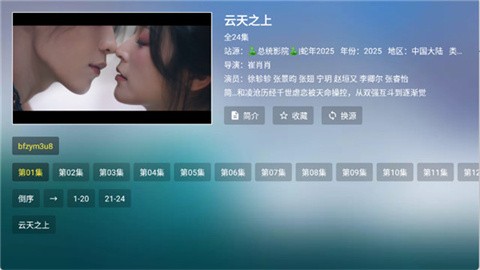 总统影院 (2)