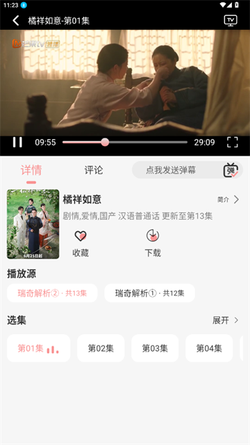 瑞奇影视 (6)