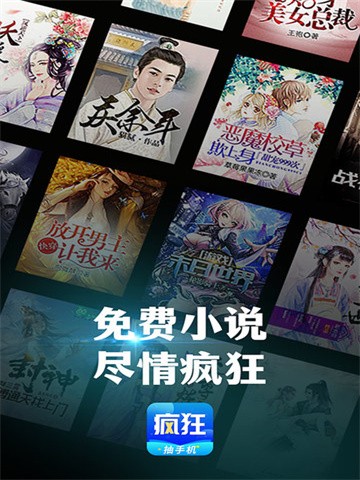 疯狂读小说 (2)