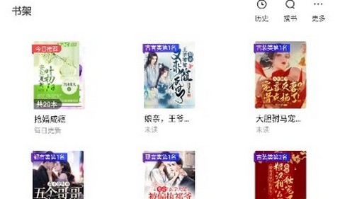 木子小说正版