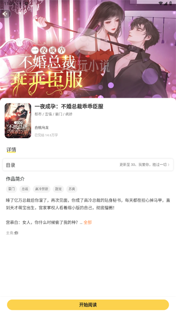 趣玩小说 (4)