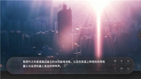 夏末盛开的花 (1)