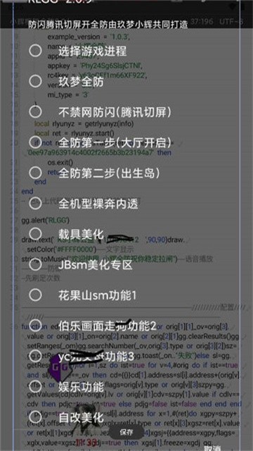 小辉全防 (2)