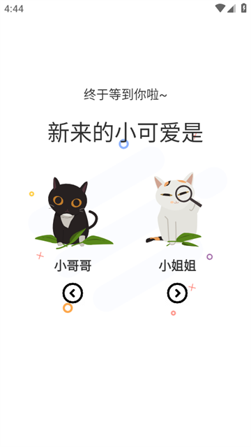 喵妃漫画 (2)